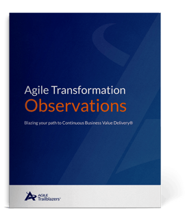 agile_transformation_observations-cover-lp